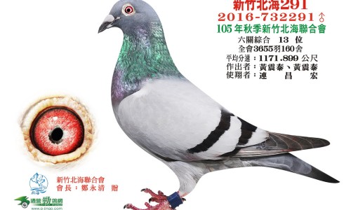 婴儿鼻炎检查什么网-分享婴儿鼻炎是什么原因引起的，婴儿鼻炎是什么原因引起的知识库