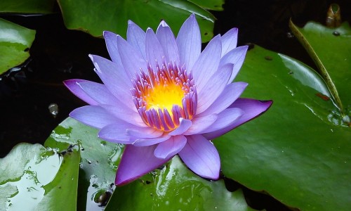 婴儿鼻炎怎么治疗-婴儿鼻炎检查什么网-分享婴儿鼻炎是什么原因引起的，婴儿鼻炎是什么原因引起的知识库